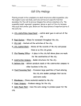 Cell City Analogy 2