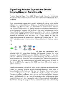 Signalling Adapter Expression Boosts Induced Neuron