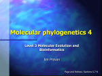 Molecular phylogenetics IV