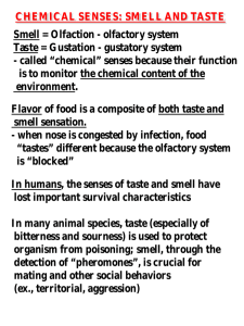 CHEMICAL SENSES: SMELL AND TASTE Smell = Olfaction