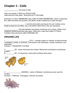 the study of cells - Greer Middle College