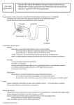 FEB 2008 QUESTION 17 Describe the role of the kidney in drug