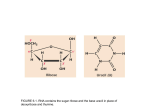 Transcription and the control of gene expression