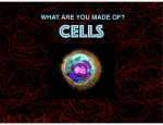 Cells Part 2