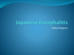 Japanese Encephalitis