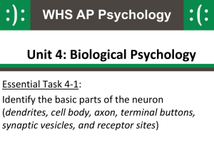 Neuron PowerPoint