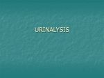 URINALYSIS