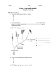 Study Guide: Plants