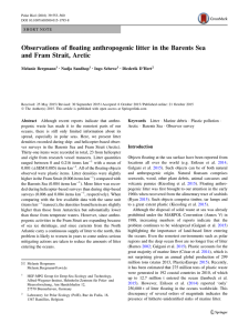 Observations of floating anthropogenic litter in the Barents Sea and