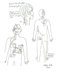 Right Gall Bladder