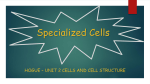 Specialized Cells