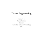 Tissue Engineering