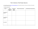 The Evolution of the Human Species