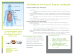 Chronic Stress and The Body