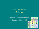 Alleles - Schoolwires.net