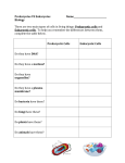 Prokaryotes VS Eukaryotes