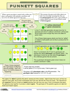 PUNNETT SQUARES