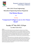 19th May 2015 - Prof Robert Brown