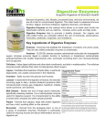 Digestive Enzymes