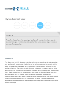 Hydrothermal vent