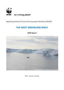 the west greenland shelf