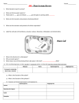 10B - Plant Systems Review