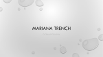 Mariana Trench - WordPress.com