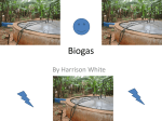 Biogas - WordPress.com