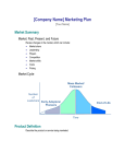 [Company Name] Marketing Plan