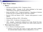 Plant Tissue Culture