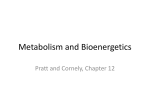 ATP and Energetics of Metabolism