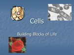 Cells