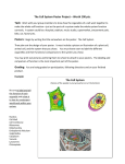 The Cell System Poster Project – Worth 100 pts. Task