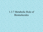 1.3.7 Metabolic Role of Biomolecules