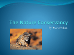 The Nature Conservancy