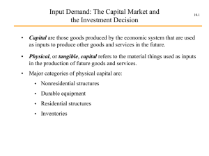 Input Demand: The Capital Market and the Investment Decision