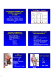 PHYSICAL EXAMINATION CARDIOVASCULAR SYSTEM