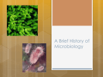 A Brief History of Microbiology