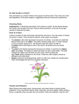 Evolution of Flowering Plants