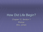 How Did Life Begin?