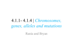 4.1.1- 4.1.4 | Chromosomes, genes, alleles and mutations