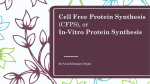 Cell Free Protein Synthesis