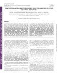 trimethoprim and sulfamethoxazole are selective inhibitors of cyp2c8