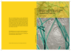 Microbial Ecosystem Functions Along the Steep Oxygen