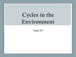 Cycles in the Environment Topic #5