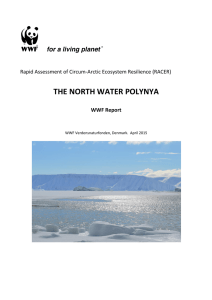 the north water polynya