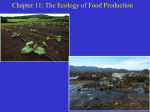 ch11 The Ecology of Food Production