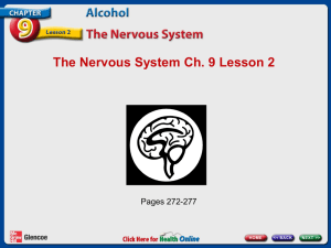 Chapter 9 Lesson Two-Nervous System