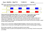 Given the following two evolutionary conserved eukaryotic genes A