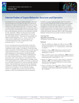 Alanine Probes of Supra-Molecular Structure and Dynamics